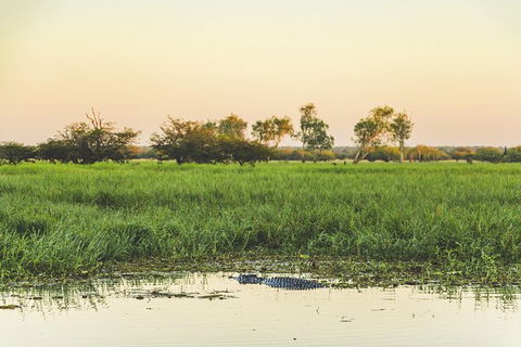 Yellow Water Cruise - Kakadu - South Australia Travel 4