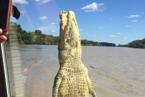 Adelaide River Queen Cruise Shuttle Bus - South Australia Travel 5