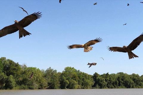 Adelaide River Queen Cruise Shuttle Bus - South Australia Travel 3