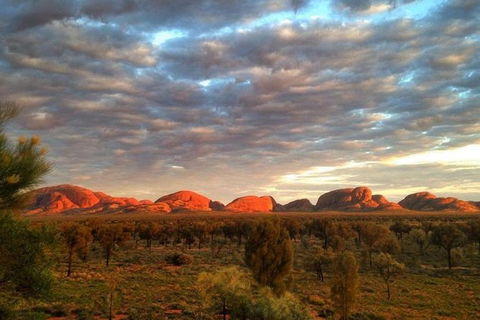 5-Hour Kata Tjuta Sunrise Tour From Ayers Rock With Breakfast - South Australia Travel 0