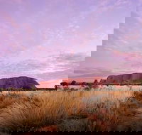 Sunset Australian Barbecue Dinner in Uluru - South Australia Travel