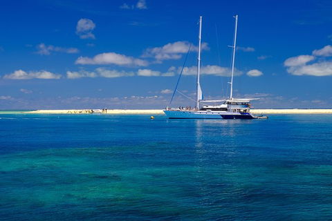 Ocean Spirit Michaelmas Cay Dive And Snorkel Cruise From Cairns - South Australia Travel 1