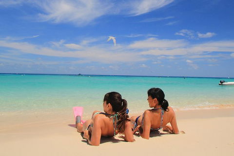 Ocean Spirit Michaelmas Cay Dive And Snorkel Cruise From Cairns - South Australia Travel 3