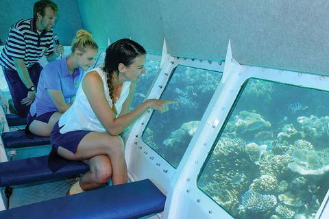 Ocean Spirit Michaelmas Cay Dive And Snorkel Cruise From Cairns - South Australia Travel 5