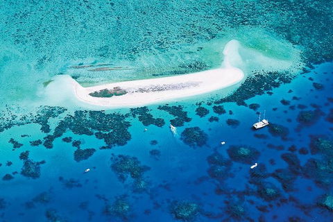 Ocean Spirit Michaelmas Cay Dive And Snorkel Cruise From Cairns - South Australia Travel 4