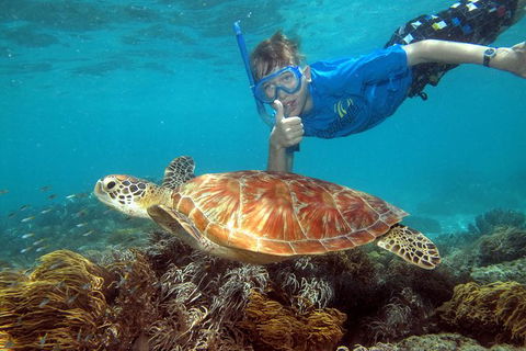Ocean Spirit Michaelmas Cay Dive And Snorkel Cruise From Cairns - South Australia Travel 6