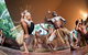 Cairns 2-Day Combo: Great Barrier Reef Cruise And Kuranda - thumb 2