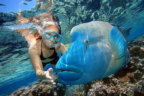 Cairns 2-Day Combo: Great Barrier Reef Cruise And Kuranda - South Australia Travel 0