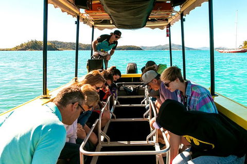 Airlie Beach Glass Bottom Boat Tour - South Australia Travel 5