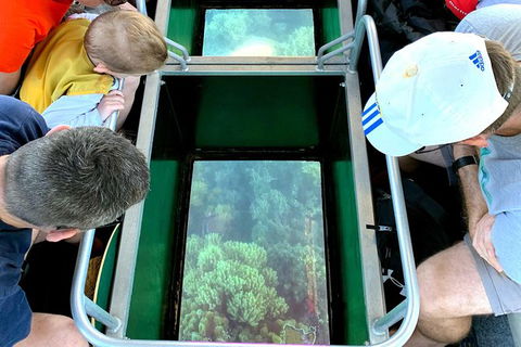 Airlie Beach Glass Bottom Boat Tour - South Australia Travel 2