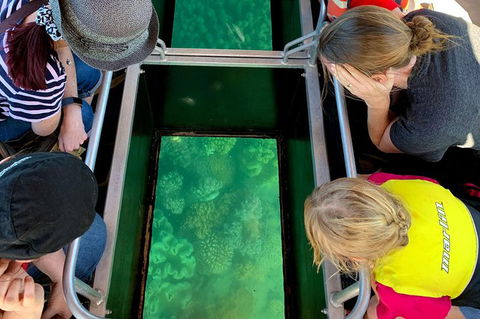 Airlie Beach Glass Bottom Boat Tour - South Australia Travel 11