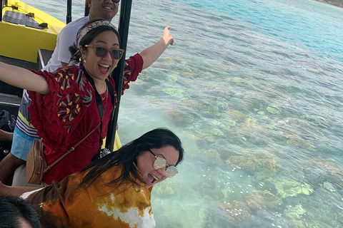 Airlie Beach Glass Bottom Boat Tour - South Australia Travel 6