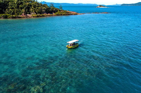Airlie Beach Glass Bottom Boat Tour - South Australia Travel 8