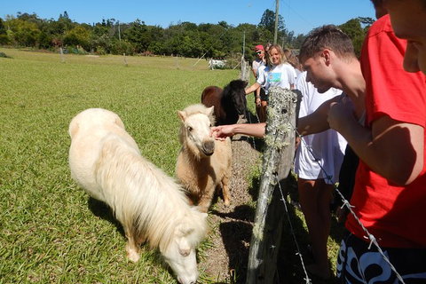 Atherton Tablelands Waterfalls Tour From Cairns - South Australia Travel 2