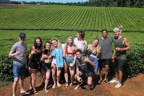 Atherton Tablelands Waterfalls Tour From Cairns - South Australia Travel 6