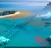 Wavedancer Low Isles Great Barrier Reef Sailing Cruise from Cairns - South Australia Travel