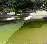 Afternoon Half-Day Daintree Rainforest and River Tour - South Australia Travel