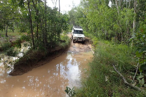 Cairns 4WD Waterfall And Rainforest Tour Including Kuranda Scenic Railway - South Australia Travel 3