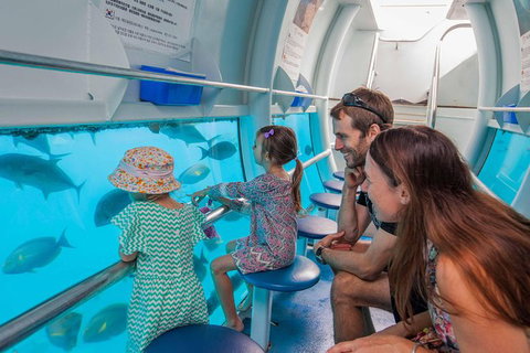 Scenic Helicopter Flight To Moore Reef And Return Snorkeling Cruise From Cairns - South Australia Travel 4