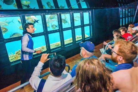 Scenic Helicopter Flight To Moore Reef And Return Snorkeling Cruise From Cairns - South Australia Travel 7