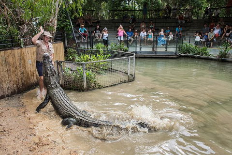 Hartley\'s Crocodile Adventures Entry Ticket And Breakfast With The Koalas - South Australia Travel 2