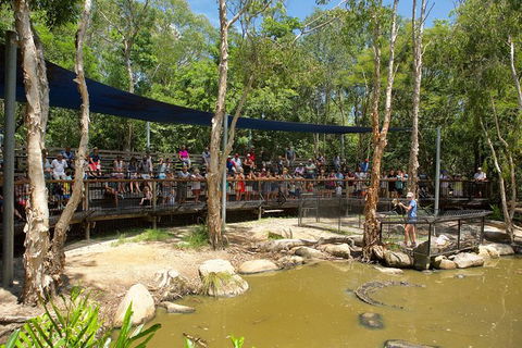 Hartley\'s Crocodile Adventures Entry Ticket And Breakfast With The Koalas - South Australia Travel 5
