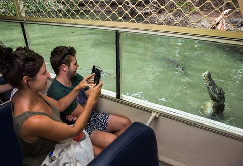 Hartley\'s Crocodile Adventures Entry Ticket And Breakfast With The Koalas - South Australia Travel 7