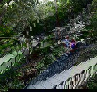 4-Day Cairns with Great Barrier Reef and Daintree Rainforest - South Australia Travel