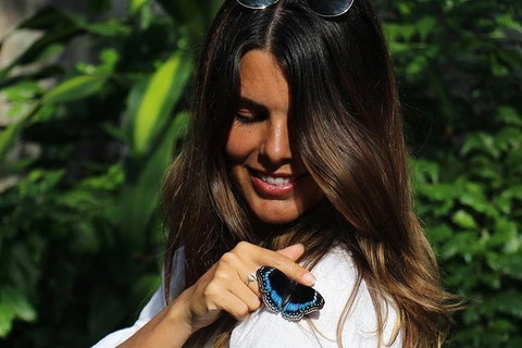 Australian Butterfly Sanctuary - South Australia Travel 5