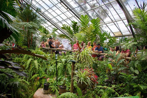 Australian Butterfly Sanctuary - South Australia Travel 4