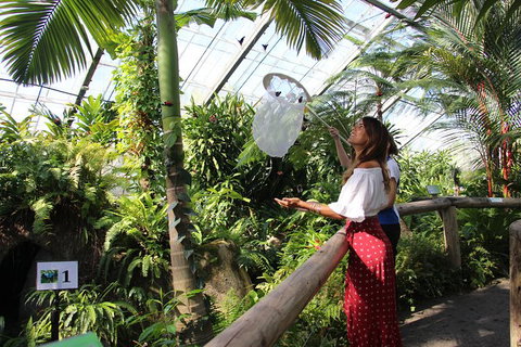 Australian Butterfly Sanctuary - South Australia Travel 2