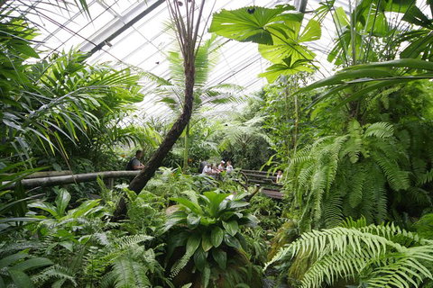 Australian Butterfly Sanctuary - South Australia Travel 1