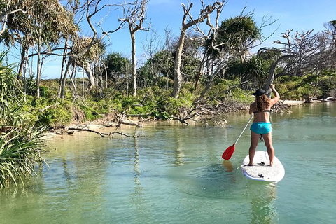 Early Morning Weekend Paddleboard Special - South Australia Travel 5