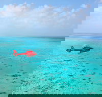 Port Douglas - Cruise and 10 Minute Scenic Flight - South Australia Travel