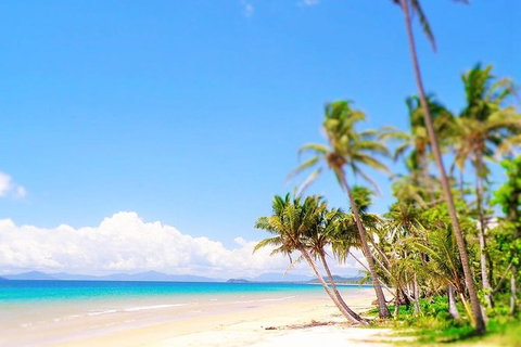 Airport Transfer - Cairns Airport To Mission Beach - South Australia Travel 1