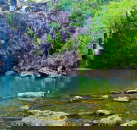 Reef Wildlife  Rainforest - Reef  Beyond Guided Holidays - South Australia Travel