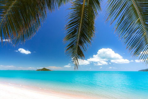 Rainforest To Reef Experience - Reef And Beyond Guided Holidays - South Australia Travel 1