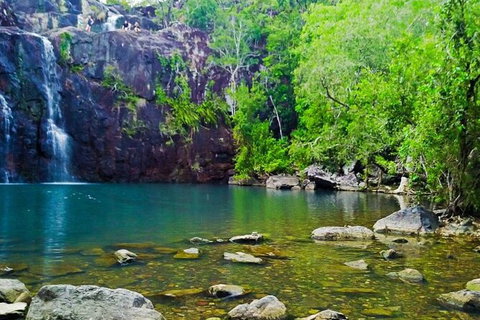 Rainforest To Reef Experience - Reef And Beyond Guided Holidays - South Australia Travel 5