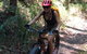 Noosa Hinterland Scenic FAT Bike Tour - thumb 0
