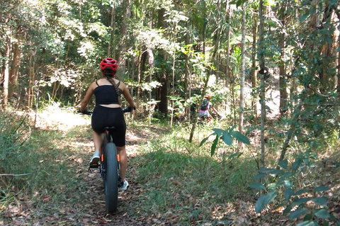 Noosa Hinterland Scenic FAT Bike Tour - South Australia Travel 5