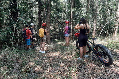 Noosa Hinterland Scenic FAT Bike Tour - South Australia Travel 8