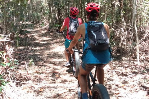Noosa Hinterland Scenic FAT Bike Tour - South Australia Travel 3