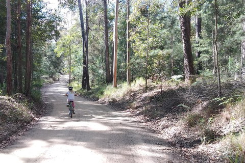 Noosa Hinterland Scenic FAT Bike Tour - South Australia Travel 4