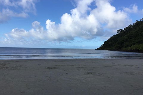 Daintree Luxury Limousine Tour - Full Day - South Australia Travel 6