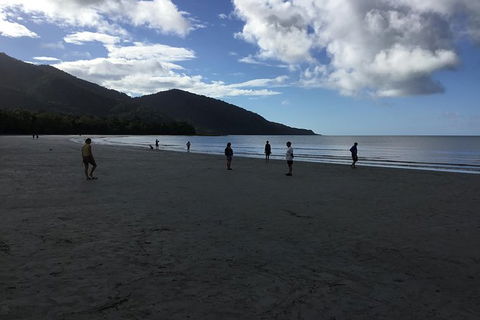 Daintree Luxury Limousine Tour - Full Day - South Australia Travel 5