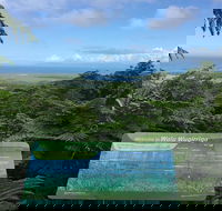 Daintree Luxury Limousine Tour - Full Day - South Australia Travel