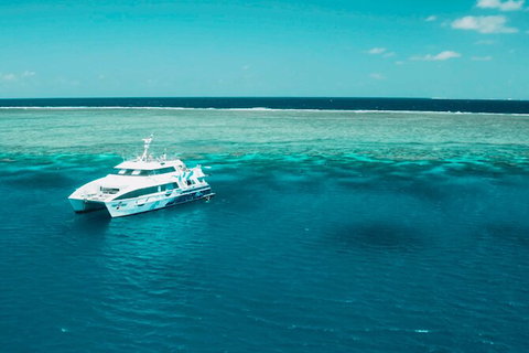 Australia East Coast: End Of Semester - South Australia Travel 1