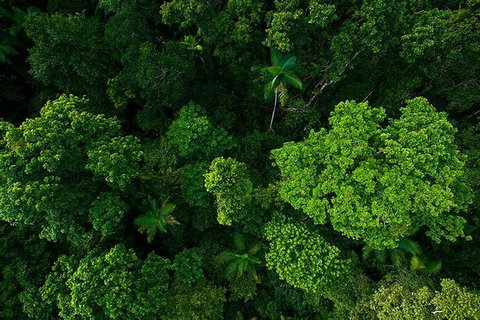 Cairns & Port Douglas All-Inclusive 7 Days Touring Package - South Australia Travel 3