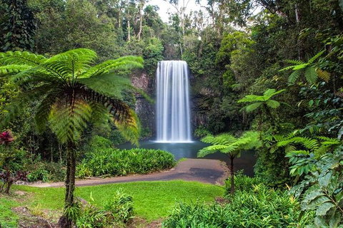 Cairns & Port Douglas All-Inclusive 7 Days Touring Package - South Australia Travel 5
