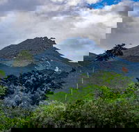 Port Douglas Daintree National Park Boutique Full-Day Tour - South Australia Travel